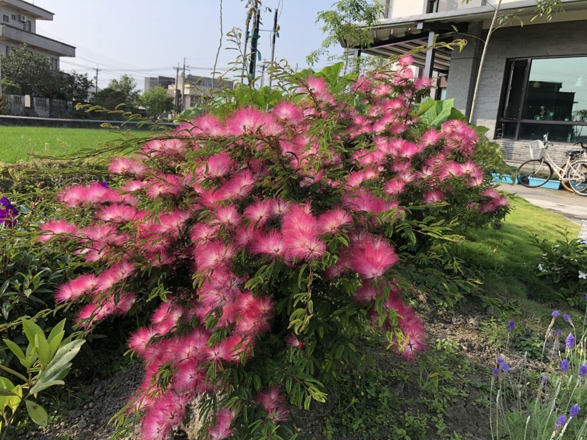 Early Summer Лодун Екстер'єр фото